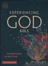 CSB Experiencing God Bible, Burnt Sienna